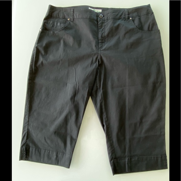 Coconut Row Palm Beach Pants - NWOT Coconut Row Palm Beach Black Capri/Crop Pants, 16